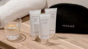 Une détox s’impose après les fêtes TERRAKÉ vous guide